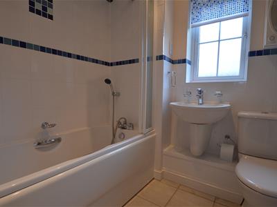 Picture 7